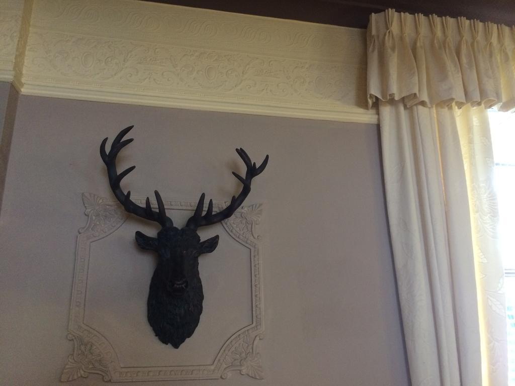 Elm Guest House 霍伊克 外观 照片